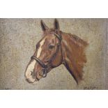 DON STYLER (1900 - 2000). A head and neck horse portrait. Signed lower right and dated 1982 lower