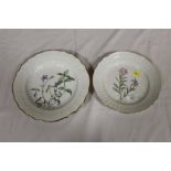 TWO ROYAL COPENHAGEN DECORATIVE CABINET PLATES, BOTH WITH HANDPAINTED FLORAL DECORATION AND SIGNED