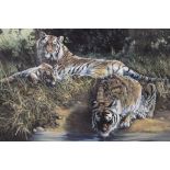 A SIGNED LIMITED EDITION DOROTHEA HYDE TIGER 'RESTING' NUMBER 8/1500, OVERALL 59 X 79 CM