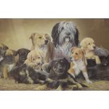 A FRAMED AND GLAZED SIGNED NIGEL HEMMING DOG PICTURE 'FRIENDS FOR LIFE', SADIE OF WOOD GREEN,