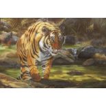 A FRAMED AND GLAZED LIMITED EDITION TIGER PRINT BY IAN KENT 326 / 650, TOGETHER WITH A SINGED