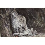 DOROTHEA HYDE - A FRAMED AND GLAZED SIGNED LIMITED EDITION SNOW LEOPARD PRINT NO 8/1500 - 39 X 42 CM