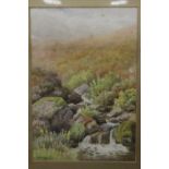 A LARGE GILT FRAMED AND GLAZED WATERCOLOUR DEPICTING A COUNTRY WATERFALL SIGNED W S MORRISH? LOWER