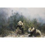 DAVID SHEPHERD - A FRAMED AND GLAZED SIGNED LIMITED EDITION PRINT ENTITLED 'THE PANDAS OF WOLONG'