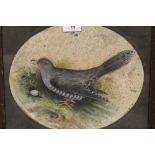 A WATERCOLOUR OF A CUCKOO, signed lower right but indistinct, dated 1906, oak framed and glazed,