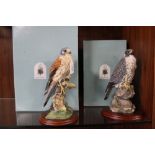 BORDER FINE ARTS 'PEREGRINE' AND 'KESTREL' FIGURES BY RUSSELL WILLIS, boxed (2)