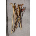 A COLLECTION OF VINTAGE AND MODERN WALKING STICKS TO INCLUDE A CARVED COBRA STYLE EXAMPLE,