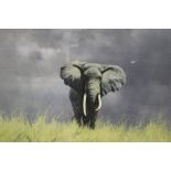 DAVID SHEPHERD - A FRAMED AND GLAZED SIGNED PRINT ENTITLED 'WISE OLD ELEPHANT' SIZE - 77CM X 54CM