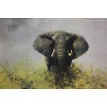 DAVID SHEPHERD - A FRAMED AND GLAZED SIGNED LIMITED EDITION PRINT ENTITLED 'OLD CHARLIE' 578/850