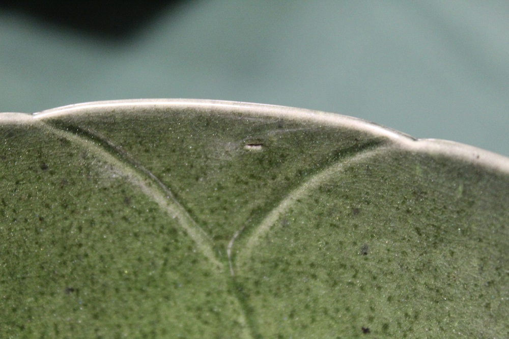 A PILKINGTON LANCASTRIAN GREEN LOTUS TYPE BOWL, impressed marks to base, H 7 cm, Dia. 14 cm - Image 5 of 5