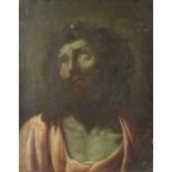 (XIX). Continental school, a head and shoulder study of Jesus Christ with crown of thorns, unsigned,
