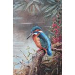 ARCHIBALD THORBURN (1860-1935). Study of a kingfisher perched on a tree stump by a river, signed