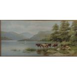 A MOUNTED PRINT DEPICTING CATTLE SIGNED HAROLD. LAWES