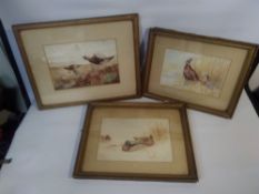 THREE FRAMED AND GLAZED GAME BIRDS WATERCOLOURS AFTER ARCHIBALD THORBURN MONOGRAMMED HMW 1906