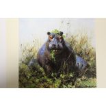 DAVID SHEPHERD - AN UNFRAMED SIGNED LIMITED EDITION PRINT ENTITLED 'HAPPY HIPPO' 303/1500 OVERALL