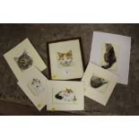 MARY R TURNER - A COLLECTION OF UNFRAMED WATERCOLOUR STUDIES OF CATS, TOGETHER WITH A FRAMED AND