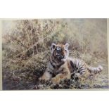 DAVID SHEPHERD - AN UNFRAMED SIGNED LIMITED EDITION PRINT ENTITLED 'TEENAGE TIGER' 1383/1500 OVERALL
