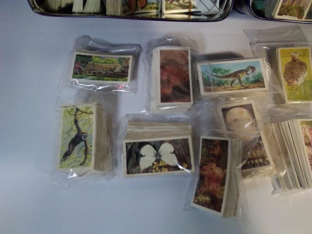 THREE TINS OF ASSORTED TEA AND CIGARETTE CARDS, LOOSE AND IN SLOTS - Image 2 of 5