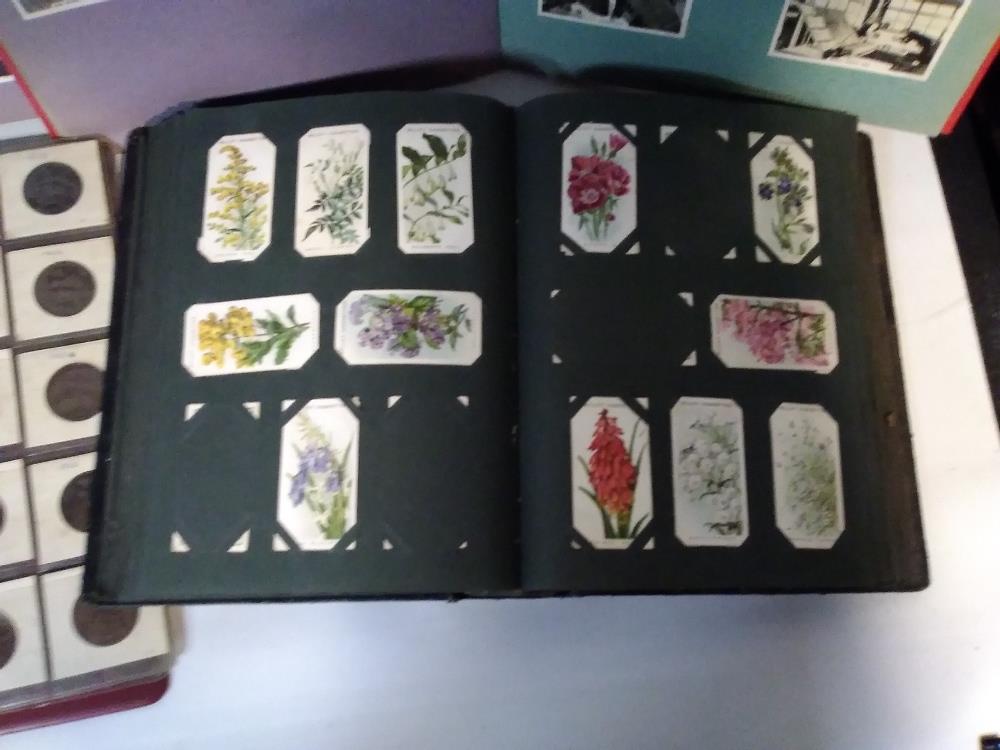 A QUANTITY OF ALBUMS OF CIGARETTE CARDS, to include Wild Flowers, Fresh Water Fish, Natural Flags, - Image 3 of 8