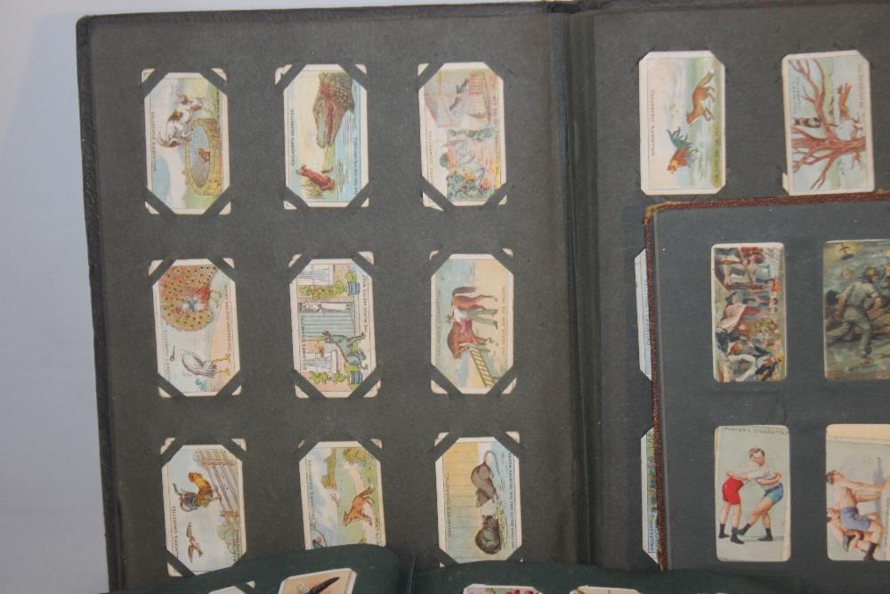A COLLECTION OF CIGARETTE AND TEA CARDS, IN ALBUMS, LOOSE WITH A QUANTITY OF MINOR EPHEMERA - Image 2 of 6