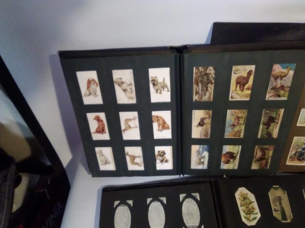 A QUANTITY OF ALBUMS OF CIGARETTE CARDS, to include Wild Flowers, Fresh Water Fish, Natural Flags, - Image 5 of 8