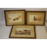 THREE FRAMED AND GLAZED GAME BIRDS WATERCOLOURS AFTER ARCHIBALD THORBURN MONOGRAMMED HMW 1906