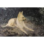 TWO PAINTED STUDIES OF ALSATIAN DOGS - AN UNFRAMED OIL ON BOARD AND A FRAMED AND GLAZED