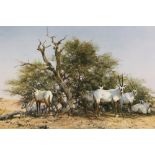 DAVID SHEPHERD - AN UNFRAMED SIGNED LIMITED EDITION PRINT ENTITLED ARABIAN ORYX 14/1500 46CM X 76CM