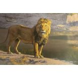 TWO UNFRAMED SIGNED LIMITED EDITION PRINTS OF LIONS - THE HYPNOTIST BY SIMON COMBES AND EVENING