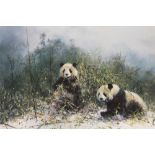 DAVID SHEPHERD - AN UNFRAMED SIGNED LIMITED EDITION PRINT ENTITLED THE PANDAS OF WOLONG 502/1500