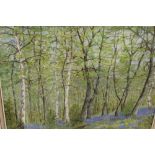 TWO OIL PAINTINGS TO INCLUDE A WOODLAND LANDSCAPE ON BOARD BY H STEDDINGS