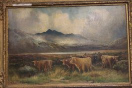 A FRAMED OIL ON BOARD DEPICTING HIGHLAND CATTLE SIGNED "M HADFIELD" 90 X 63 CM