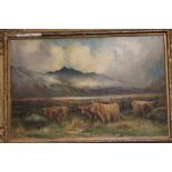 A FRAMED OIL ON BOARD DEPICTING HIGHLAND CATTLE SIGNED "M HADFIELD" 90 X 63 CM