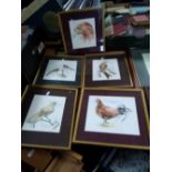 FIVE ORNITHOLOGICAL PRINTS