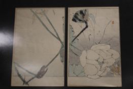 WATANBE SEITEL TWO FRAMED ANTIQUE JAPANESE WOOD BLOCK PRINTS DEPICTING FLOWERS IN ONE FRAME