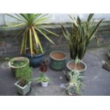 A SELECTION OF EIGHT ITEMS TO INCLUDE SIX CERAMIC PLANTERS WITH PLANTS AND A ZINC PLANTER