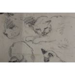 AN UNFRAMED PENCIL DRAWING OF CATS SIGNED JOHN W GOUGH LOWER LEFT 18CM X 25CM