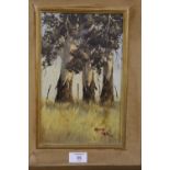 A FRAMED OIL ON BOARD ENTITLED BLUE GUM TREES SIGNED MALACHI SMITH WITH CERTIFICATE VERSO 28CM X