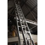 A LARGE SET OF LADDERS
