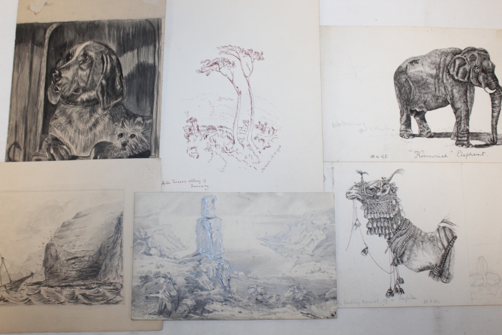 A FOLDER OF UNFRAMED ANTIQUE AND VINTAGE PENCIL DRAWINGS AND WATERCOLOURS ETC. TO INCLUDE ANIMAL