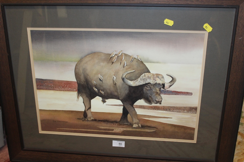 A FRAMED AND GLAZED WATERCOLOUR ENTITLED 'BUFFALO BILL' SIGNED CUE CHATTERTON LOWER RIGHT (SEE - Image 3 of 3