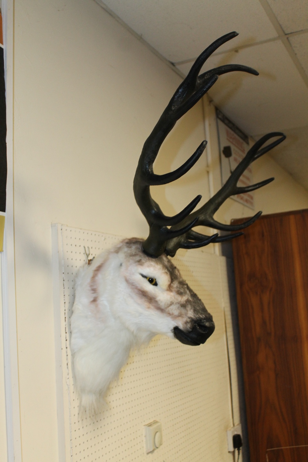 A MODERN TAXIDERMY STYLE WALL HANGING PLUSH STAGS HEAD - Image 2 of 3