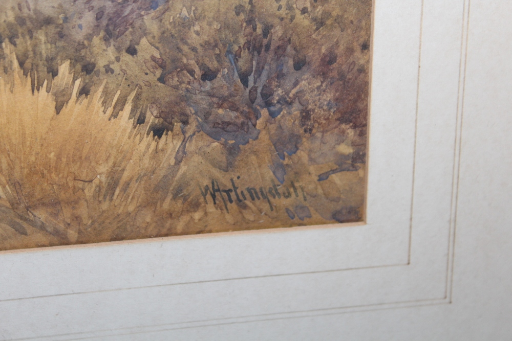 WILLIAM ARTINGSTALL (XIX / XX). A highland scene with sheep grazing. Signed lower right, - Image 3 of 3