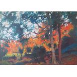 ROLF HARRIS (b.1930). 'Bush Sunset', signed lower left, No 80/195, signed verso 'To Robert and