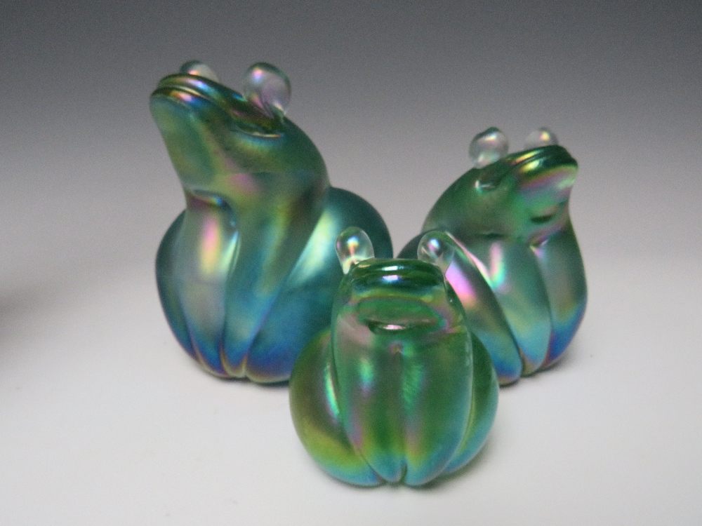 JOHN DITCHFIELD FOR GLASFORM - A SET OF THREE IRIDESCENT GLASS GRADUATED SEATED FROG PAPERWEIGHTS,