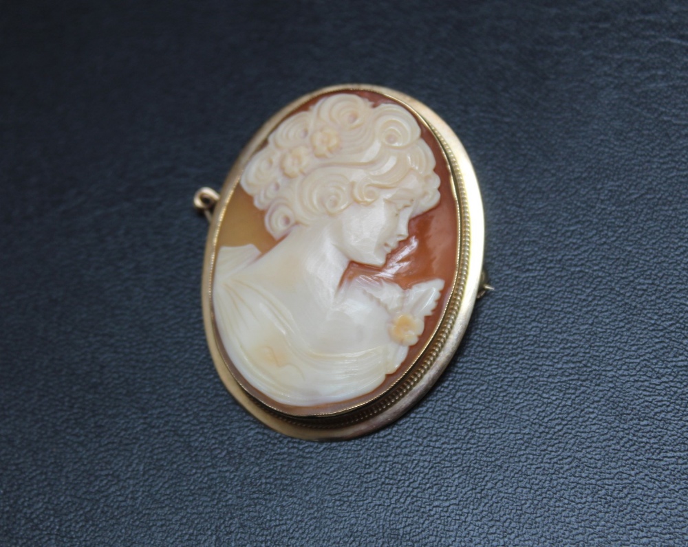 A HALLMARKED 9 CARAT GOLD MOUNTED CAMEO BROOCH, H 4.25 cm