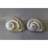 A PAIR OF LATE 19TH CENTURY ANDAMAN ISLANDS CARVED PENAL COLONY PEARL SHELLS