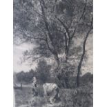 C. A. FREEMAN (XIX-XX). A wooded landscape with figure and cow, signed in pencil lower right,