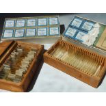 MICROSCOPY - A COLLECTION OF ASSORTED MICROSCOPIC SLIDES TO INCLUDE BOTANICAL EXAMPLES, some dated