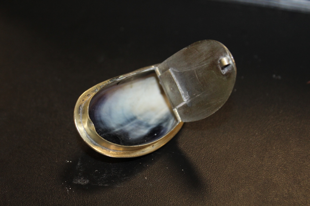 AN ANTIQUE MUSSEL SHELL SNUFF BOX - Image 3 of 3